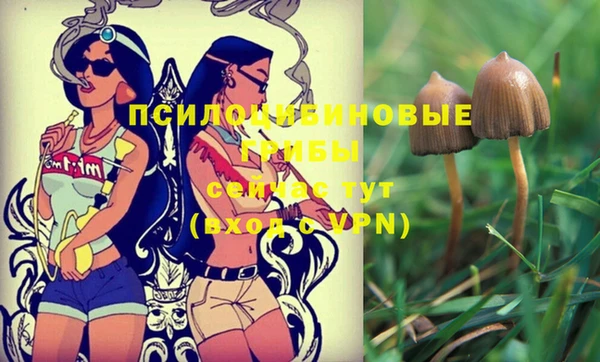 мескалин Абдулино